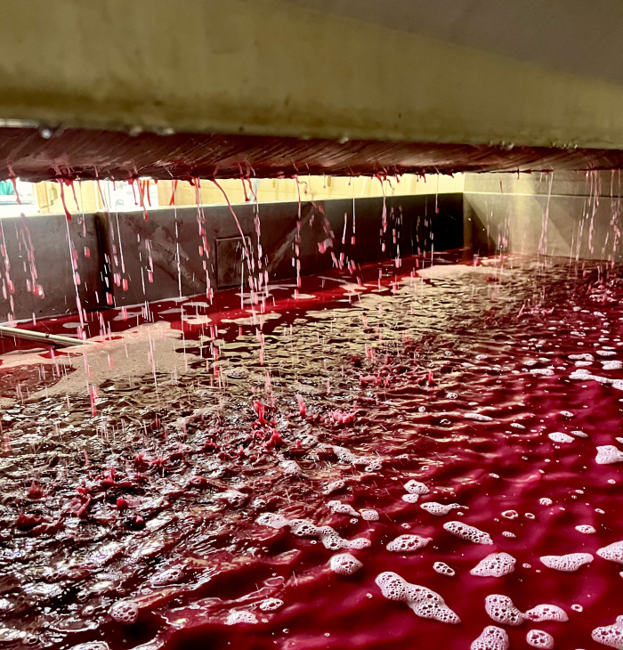Mourvedre in the press