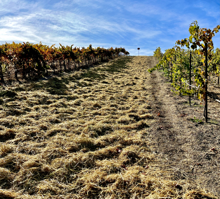 Straw on the farm road
