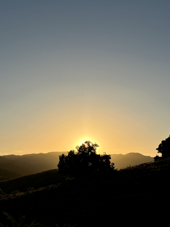 Autumn sunset vertical