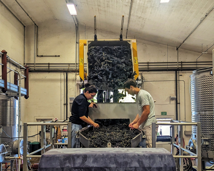 Ceren Eroglu on sorting table