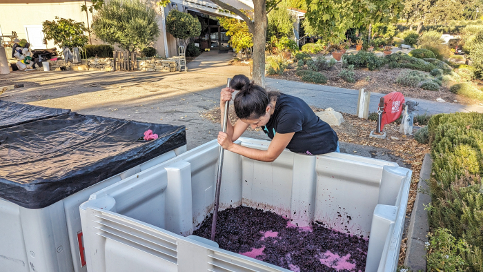 Ceren Eroglu doing a punchdown