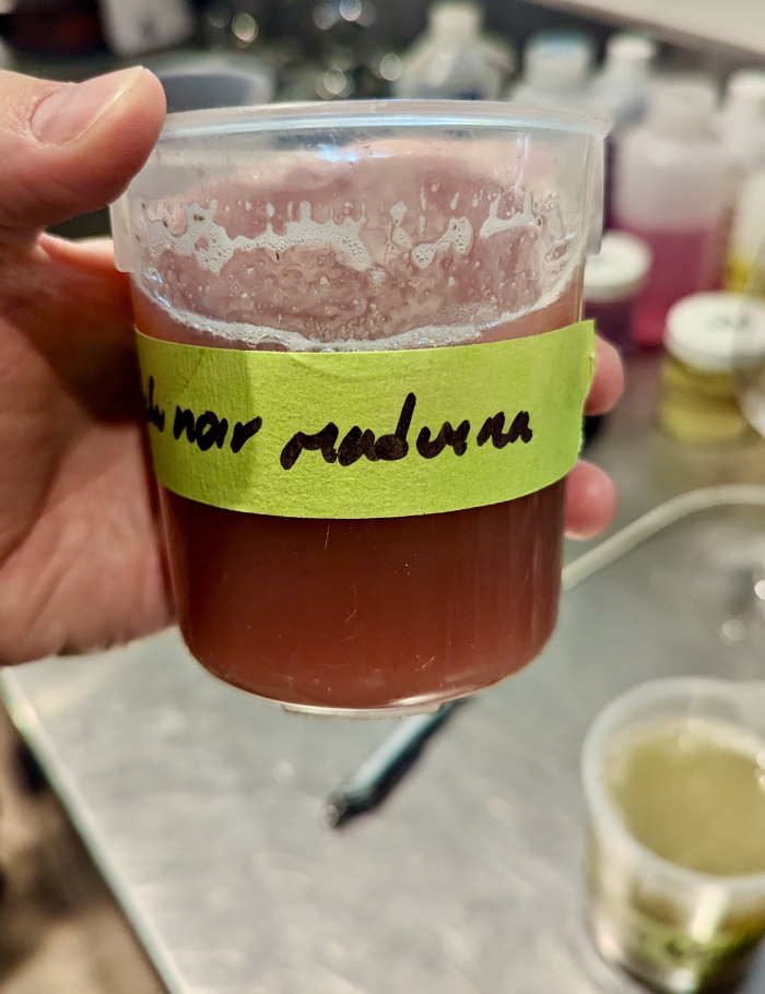 Cotes Maduena - Sample