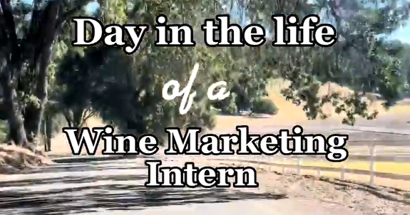 Day in the life of a wine marketing intern
