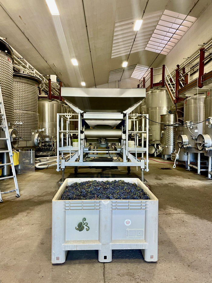 First bin of Syrah in Bin #1