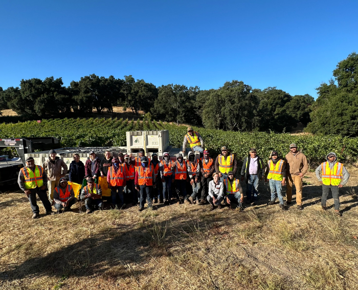 Harvest crew at Haas Vineyard Cropped
