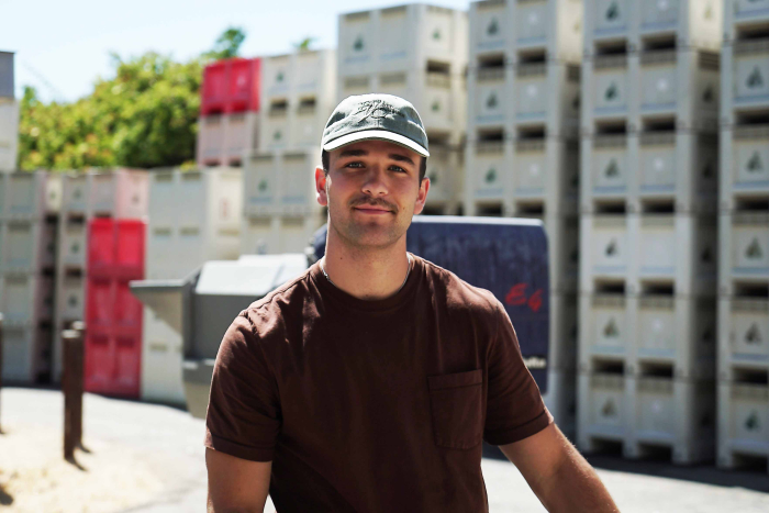 Trevor Pollock - Web