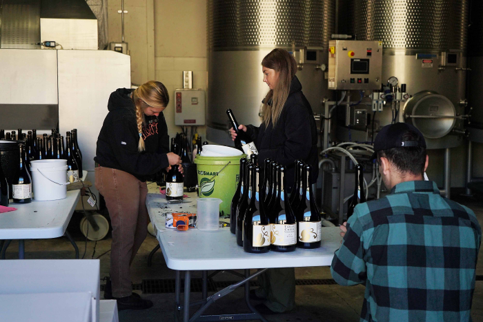 Tablas Creek 2023 Harvest Interns working - Web