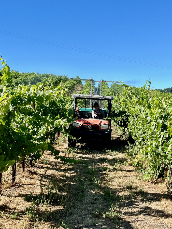 Spraying Silica late July 2023