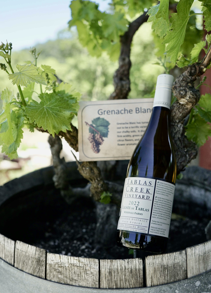 Lignee bottle next to mothervine - portrait