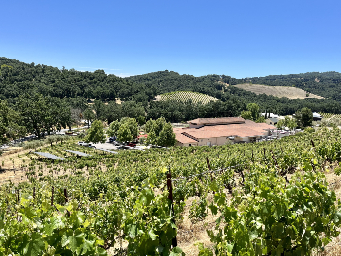 Solstice 2023 - Long View over Winery