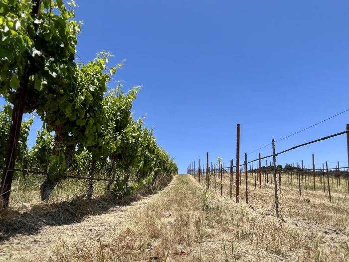 Solstice 2023 - New block