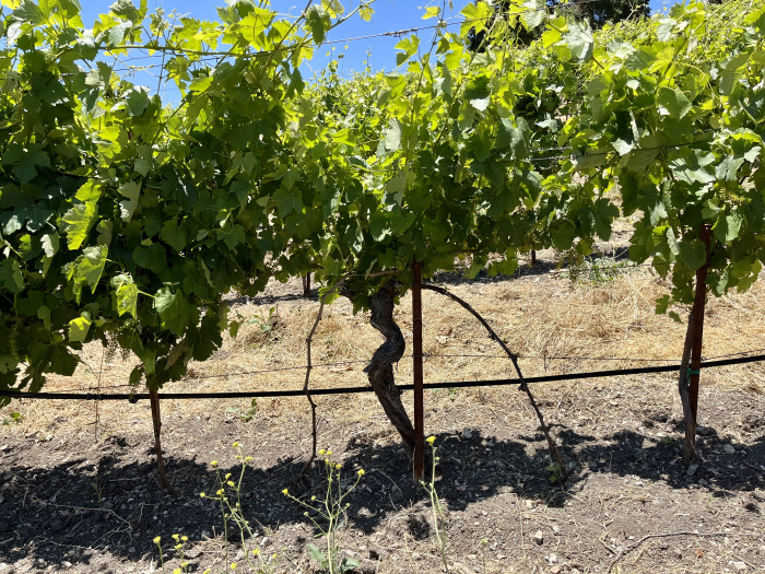 Solstice 2023 - Layering Landscape