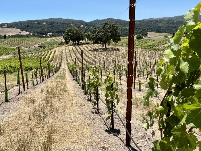 Solstice 2023 - Santos block