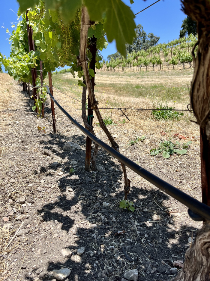 Solstice 2023 - Layering Closeup