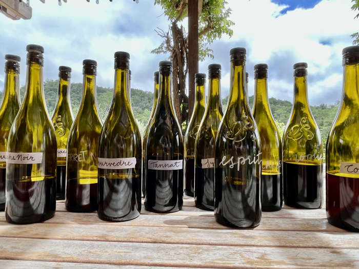 Blending 2022 Reds - Wines