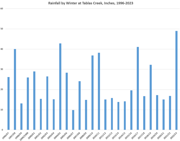Winter Rainfall by Year 1996-2023