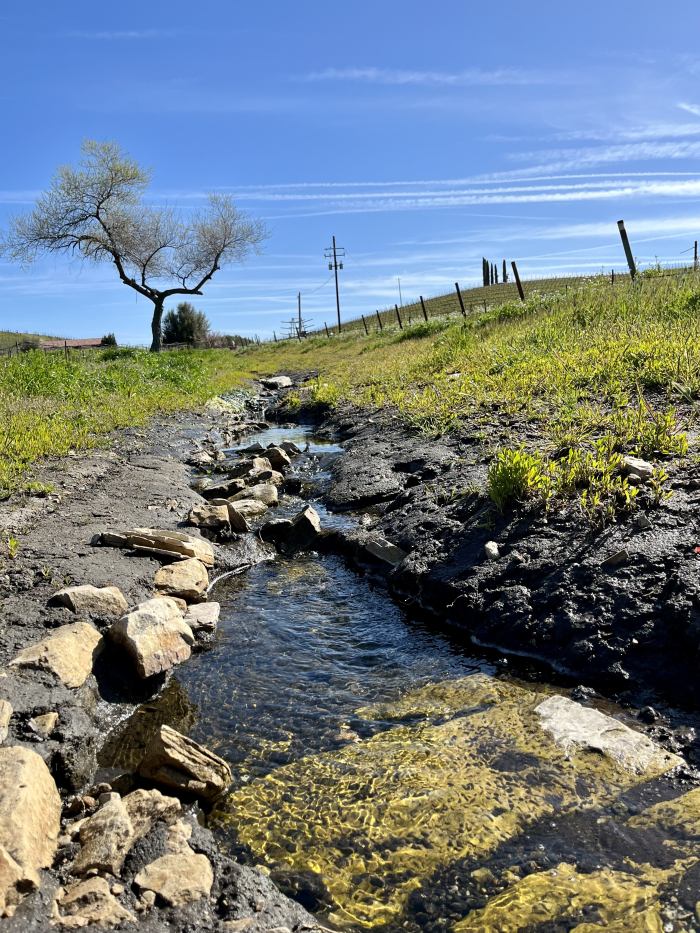Water seeping out of Cotes Maduena April 2023