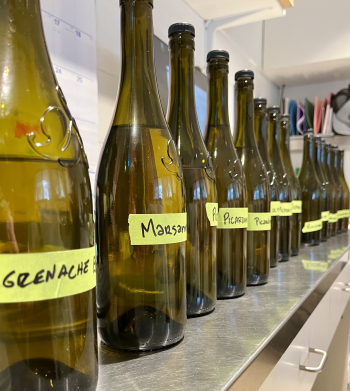 Blending whites 2023 - Bottles