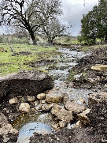 After the rain - water flowing from Halter Ranch