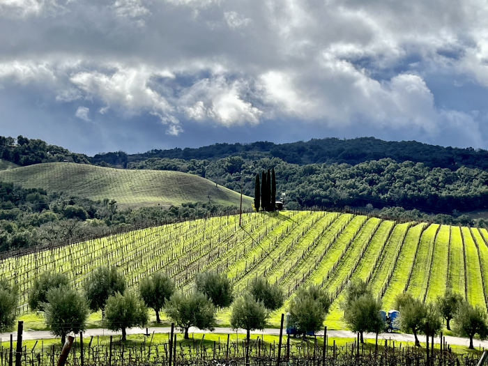 After the rain - New Hill and Jewel Ridge
