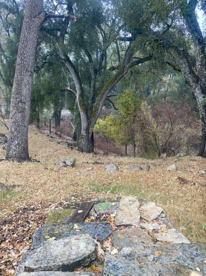 Austin - View toward Las Tablas Creek