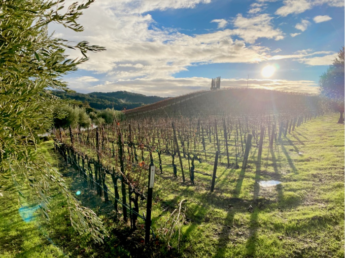 Austin - Sun emerging