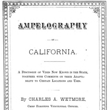 Ampelography Cover Page