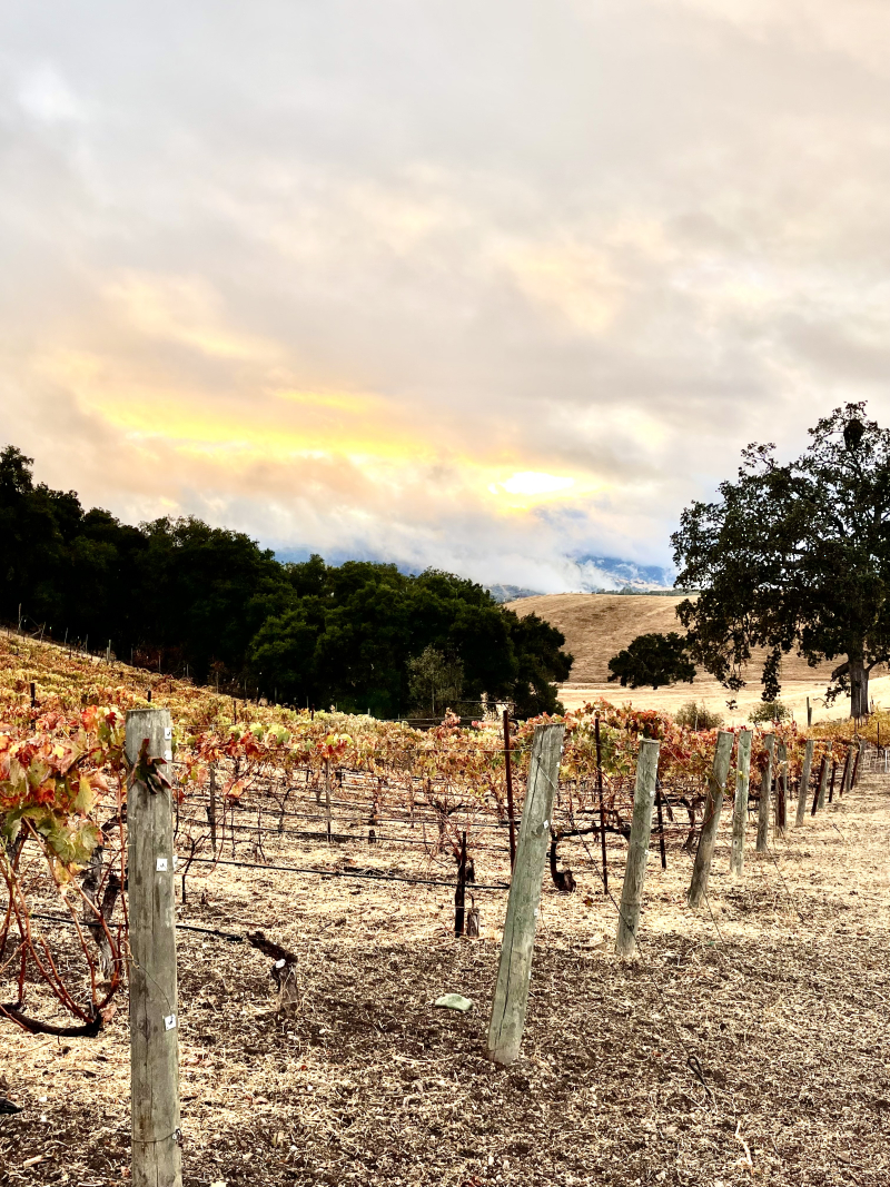 Autumn colors and bright sky