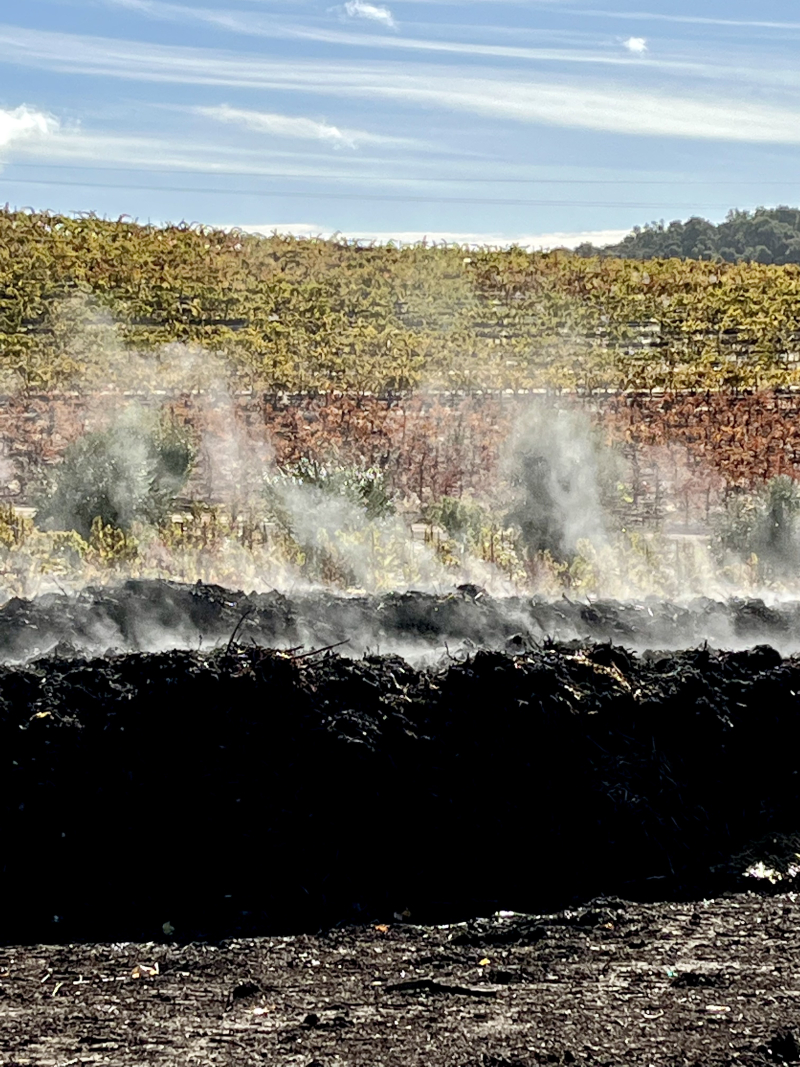 Compost Pile steaming