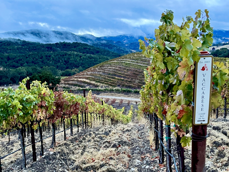 Vaccarese and dramatic clouds