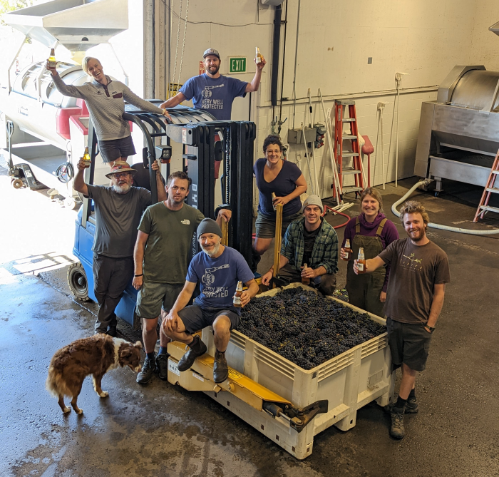 Last Bin of Harvest 2022 - Cropped