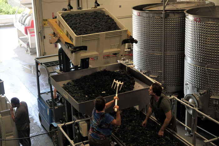 Michael and Erin on the sorting table