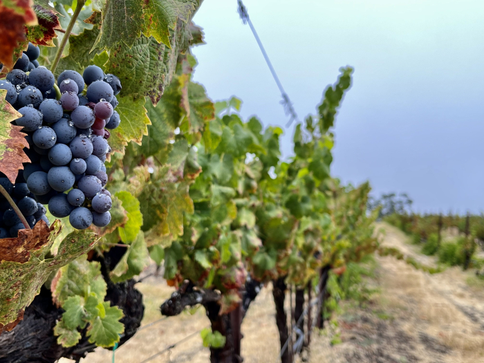 Long view after the rain