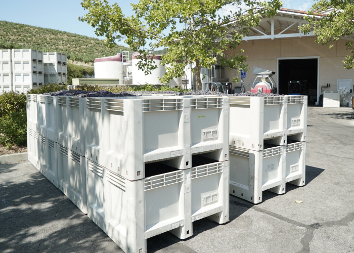 Harvest Intern Louisa Cleaning the Press