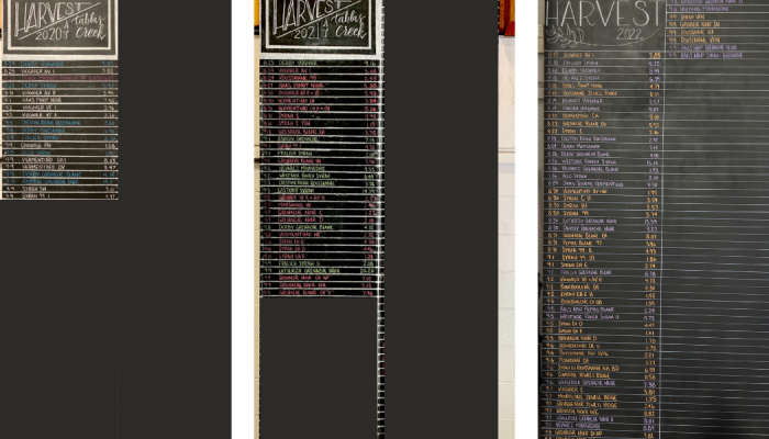 Chalkboards side-by-side