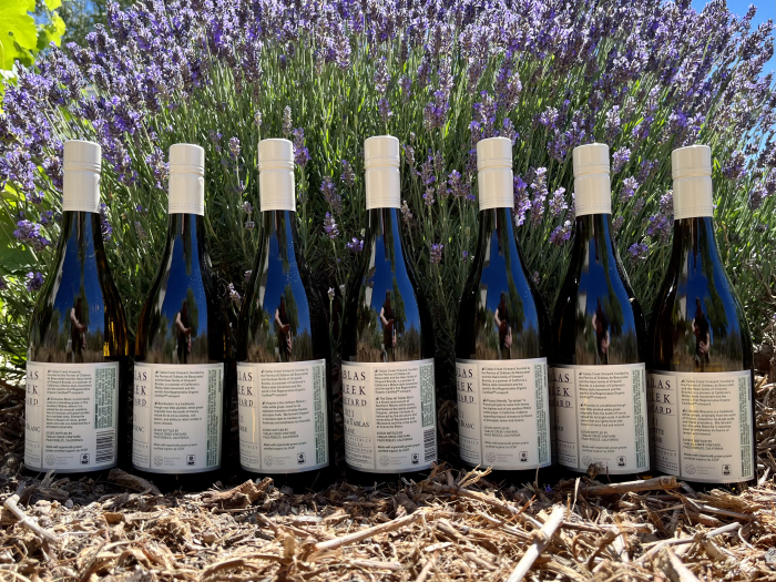 2021 Whites - Back View