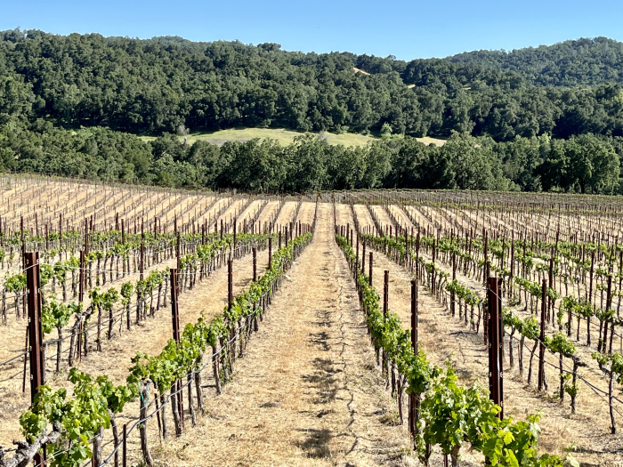 May 2022 Frost - Nipple Flat