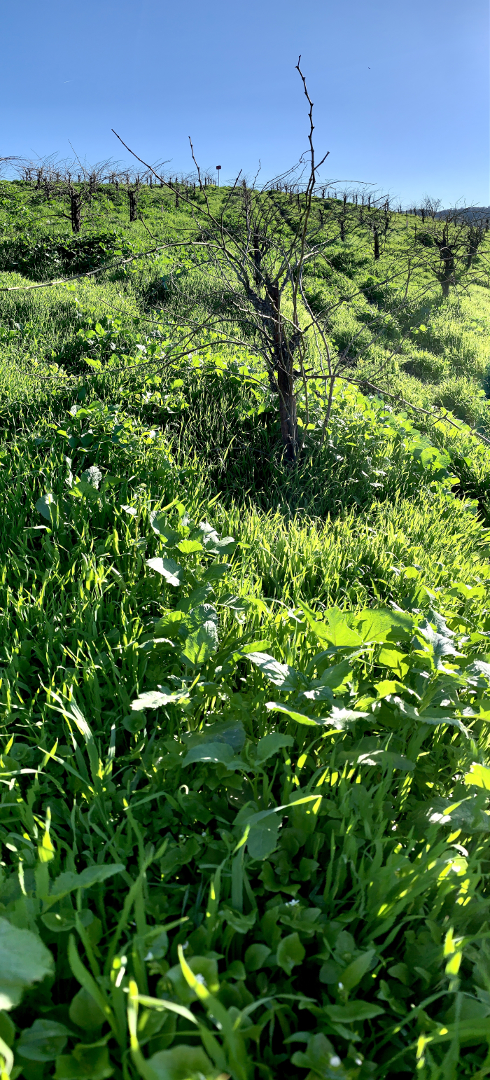 Winter on Crosshairs