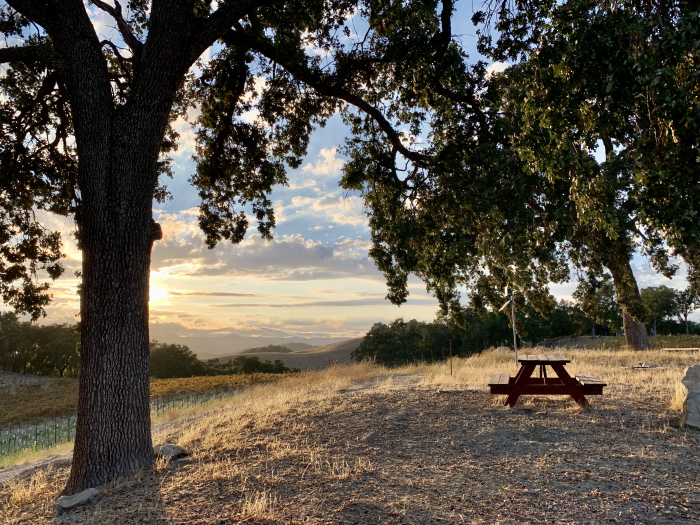 Picnic table at the top of the hill