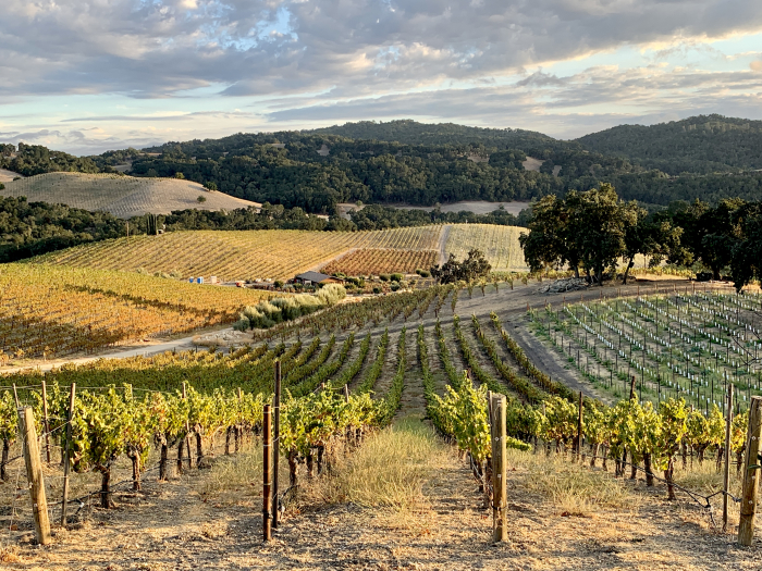 Long view looking south over Grenache