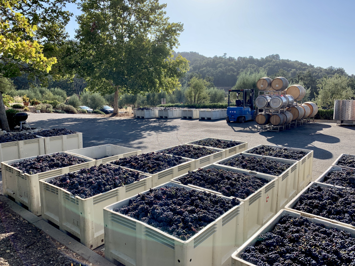 2021 Bins of Mourvedre