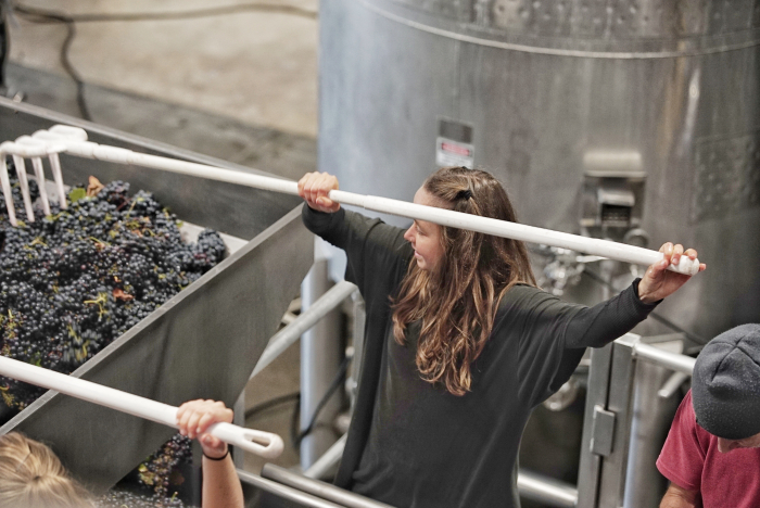 Kayja Mann working the sorting table at Tablas Creek