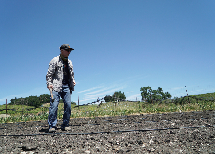Gustavo standing in the garden Gustavo standing in the garden