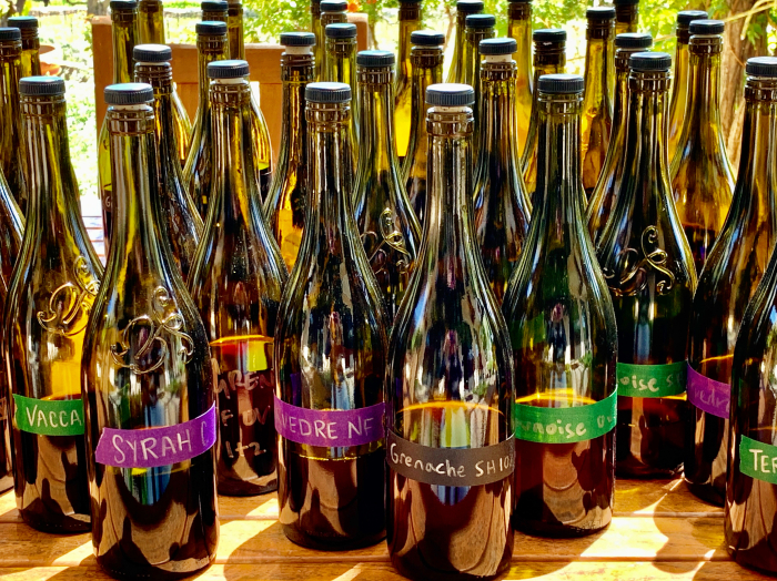 Blending bottles on patio - 2020 reds