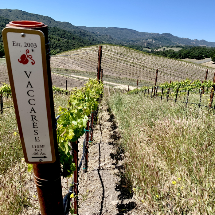 Vaccarese in row with sign