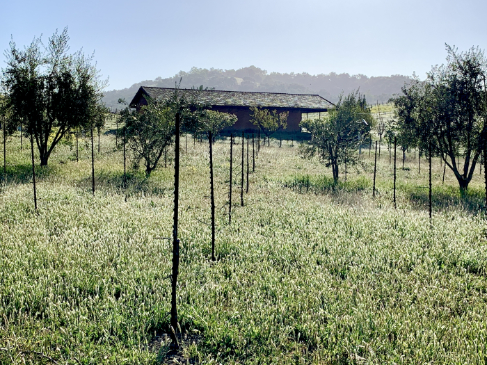Green April 2021 - Straw Bale Barn
