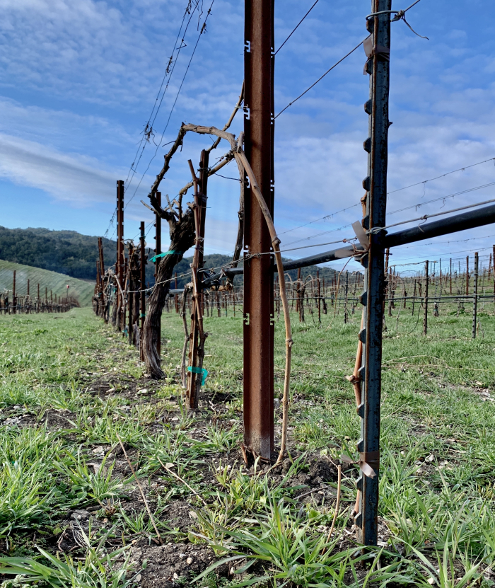 Syrah block - Layering burying