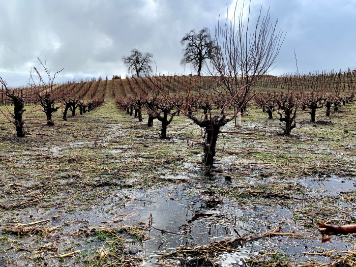 Standing Water after January 2021 storm