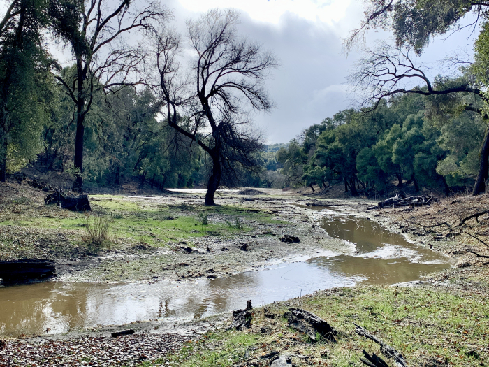 Las Tablas Creek