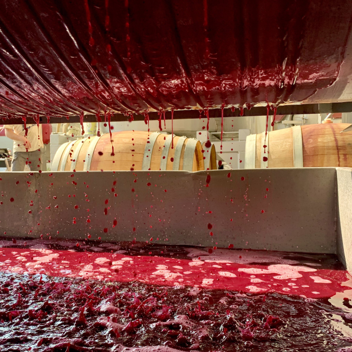 2020 Press Load in the Sun